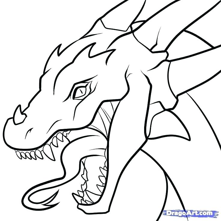 736x736 Ty Stuffed Animals Coloring Pages Easy Animal Coloring Pages
