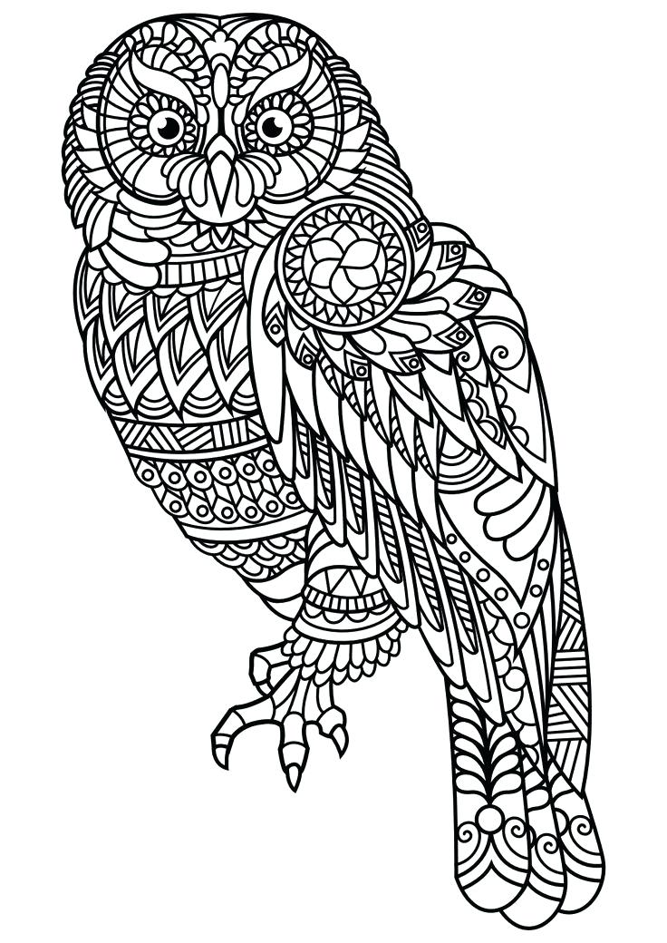 736x1040 Different Coloring Pages Animals Coloring Page Coloring Pages