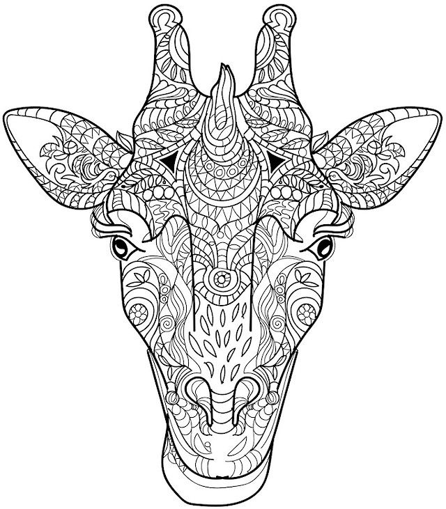 640x731 Adult Coloring Pages Animals Beautiful Design Adult Coloring Pages