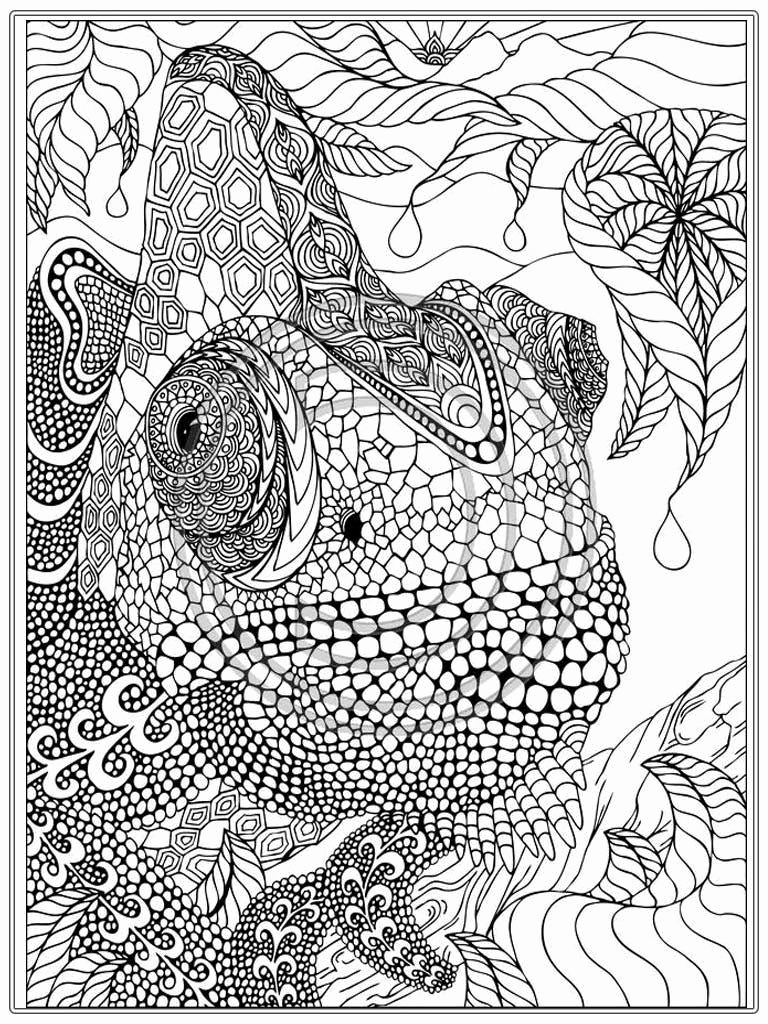 768x1024 Printable Animal Coloring Pages Best Of Jaguar Kleurplaat Google