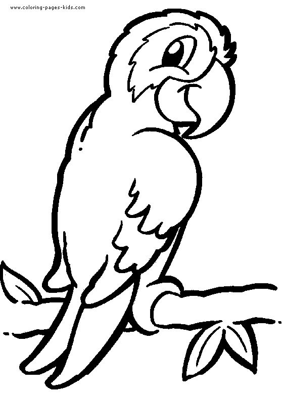 560x781 85 Best Animals Cut And Paste And Print And Color Images