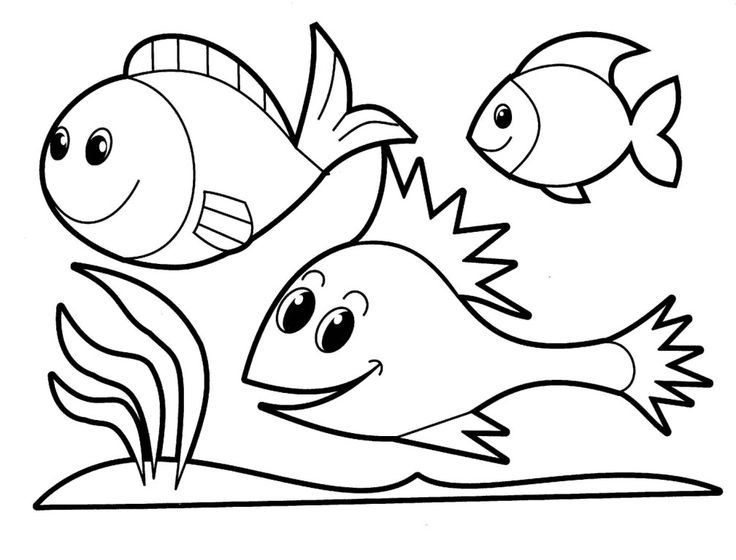 736x560 Kids Colouring Book Best 25 Animal Coloring Pages Ideas