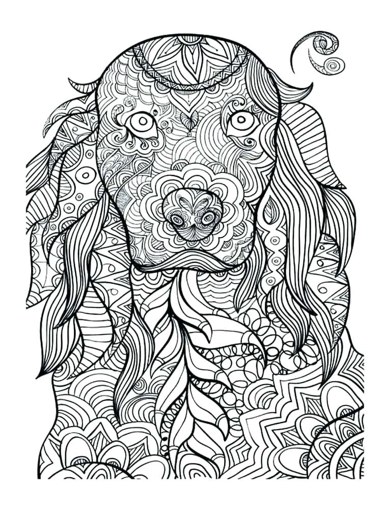 750x1000 Coloring Pages Of Animals Animals Coloring Pages Animals Coloring