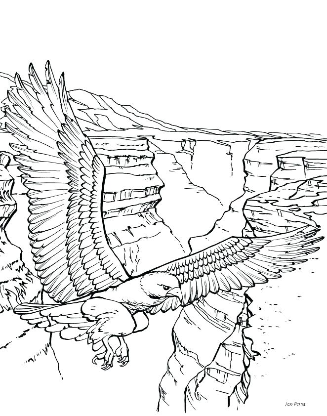 662x842 Realistic Animal Coloring Pages