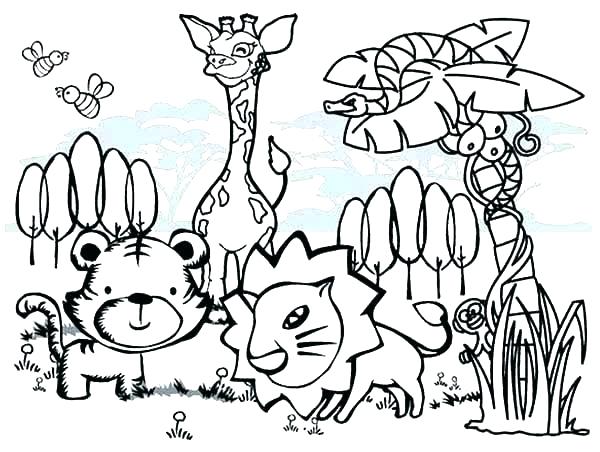 600x452 Australian Animal Coloring Pages Animals Colouring Pages Cool