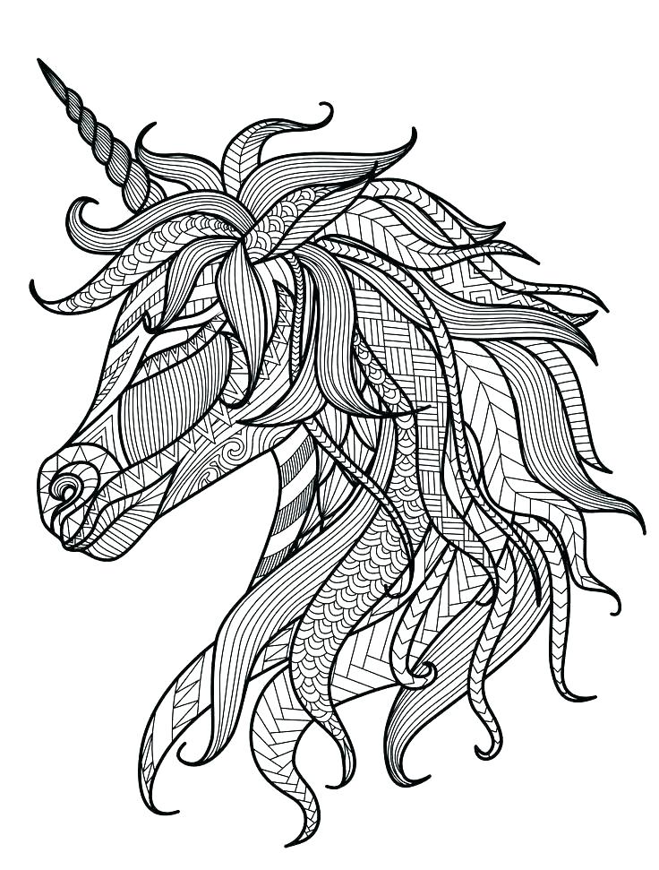 736x971 Zoo Animals To Color Awesome Zoo Animals Coloring Pages Cool Zoo