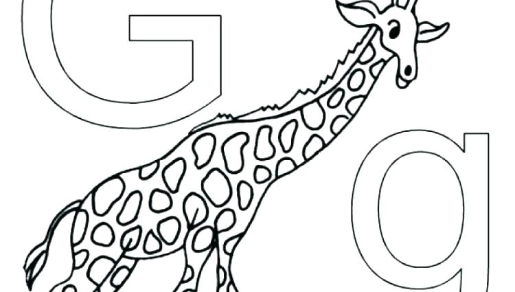 750x425 Wildlife Coloring Pages Coloring Pages Animals Coloring Sheets