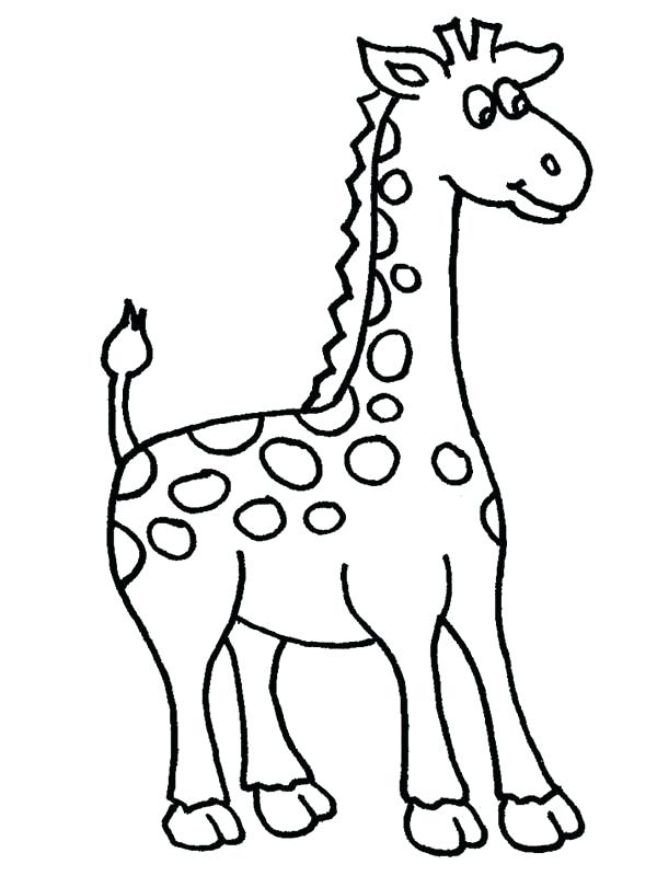 600x800 Giraffes Coloring Pages Baby Giraffe Coloring Pages As Well As