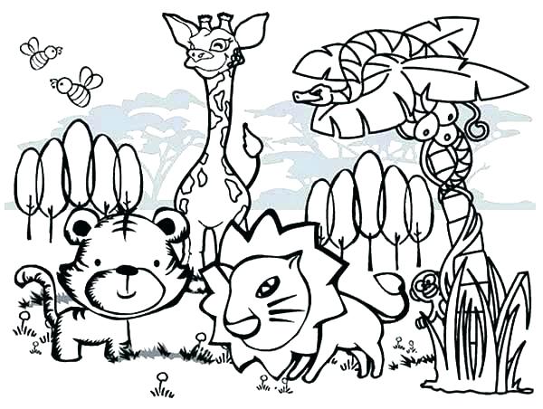 600x452 Hard Animal Coloring Pages Forest Animal Coloring Pages Printable