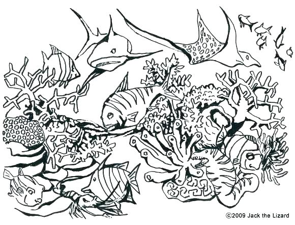 580x442 Super Hard Coloring Pages Printable Hard Coloring Pages Hard