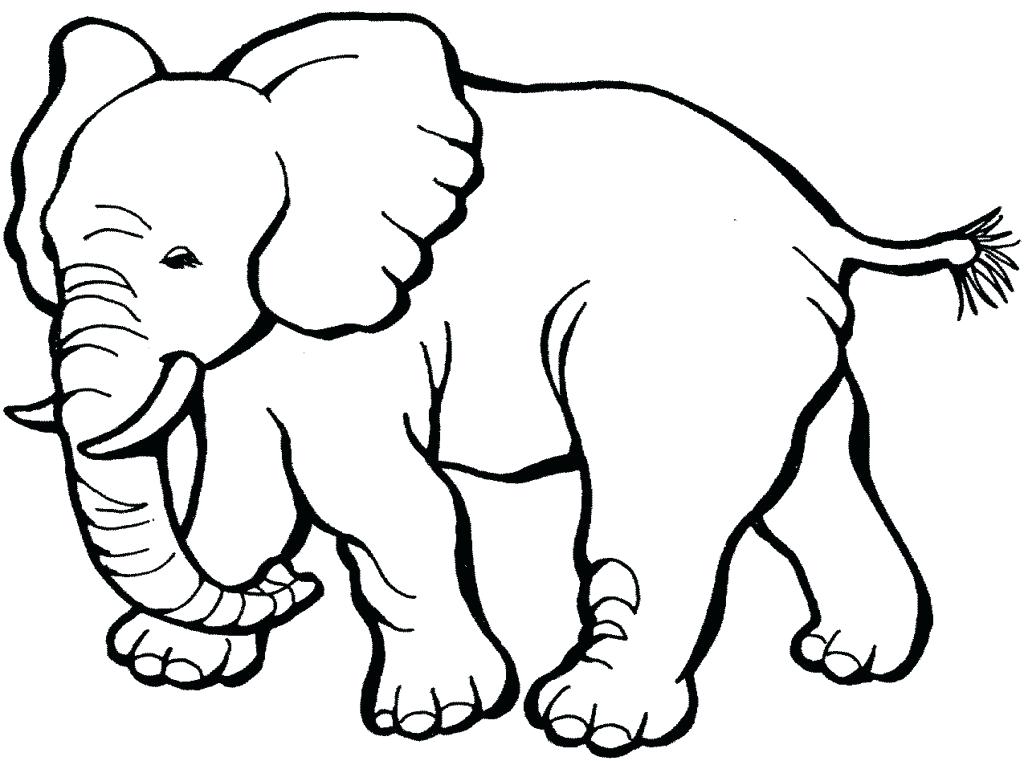 1024x761 Baby Animals Coloring Pages