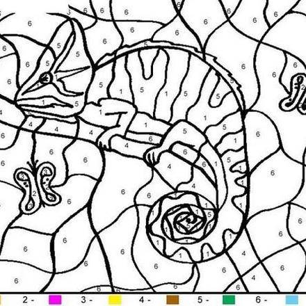 440x440 Animal Color By Number Coloring Pages 43 Free Online Coloring
