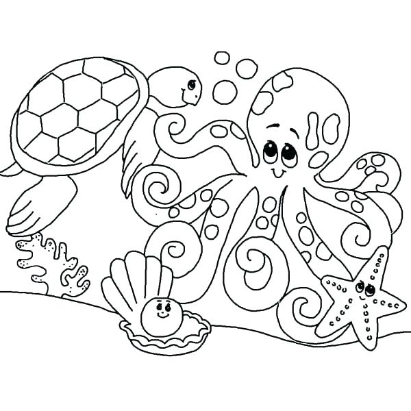 600x600 Ocean Animals Coloring Pages Kindergarten Animal Coloring Pages