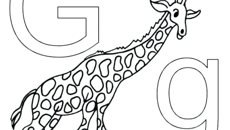 750x425 Wildlife Coloring Pages Alphabet Animals Coloring Pages Zoo