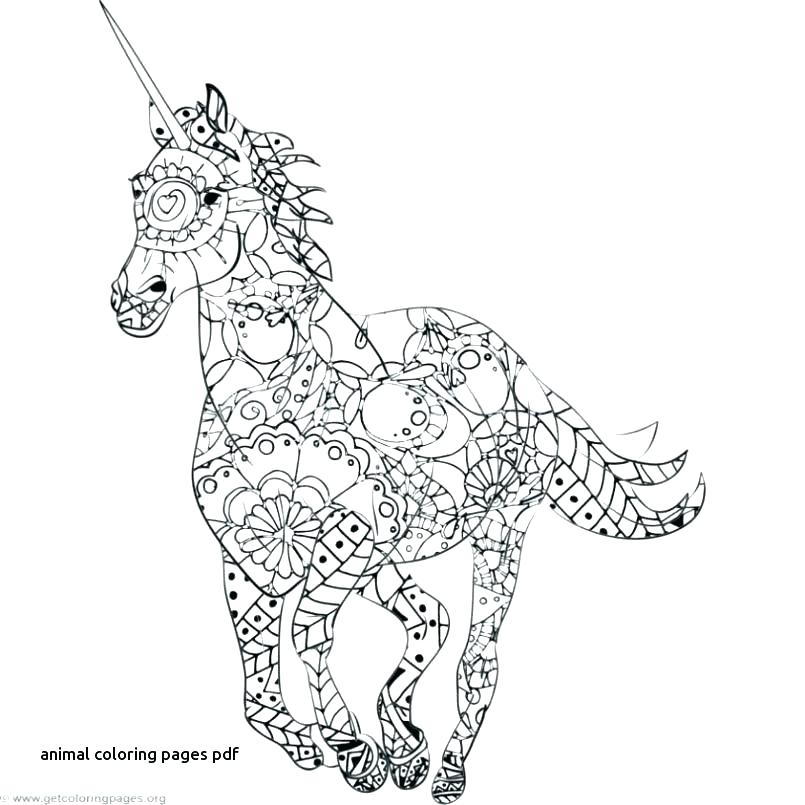 805x805 Mandala Coloring Pages Pdf