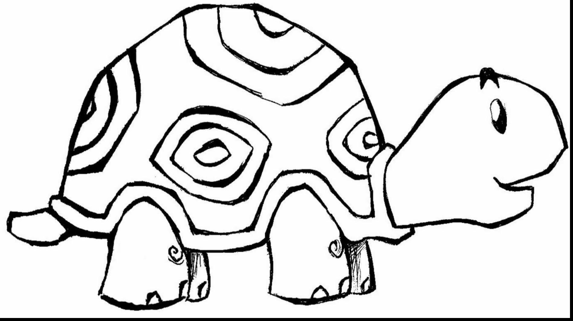 1898x1065 Animal Coloring Pages Pdf