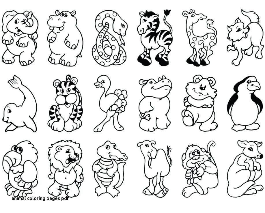 918x738 Animal Coloring Pages Pdf