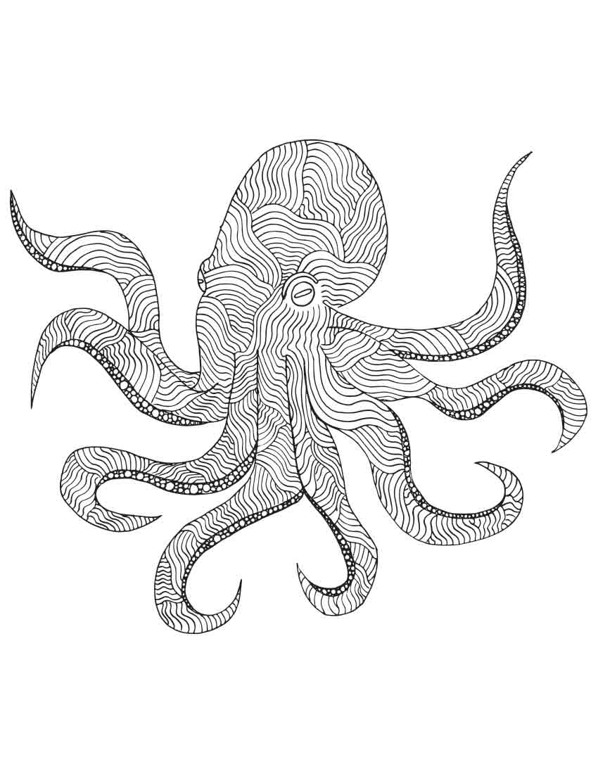 850x1100 Adult Coloring Book Ocean Animal Patterns