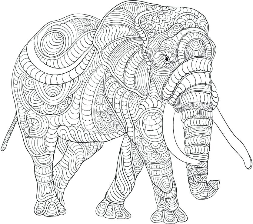 835x739 Cool Animal Coloring Pages