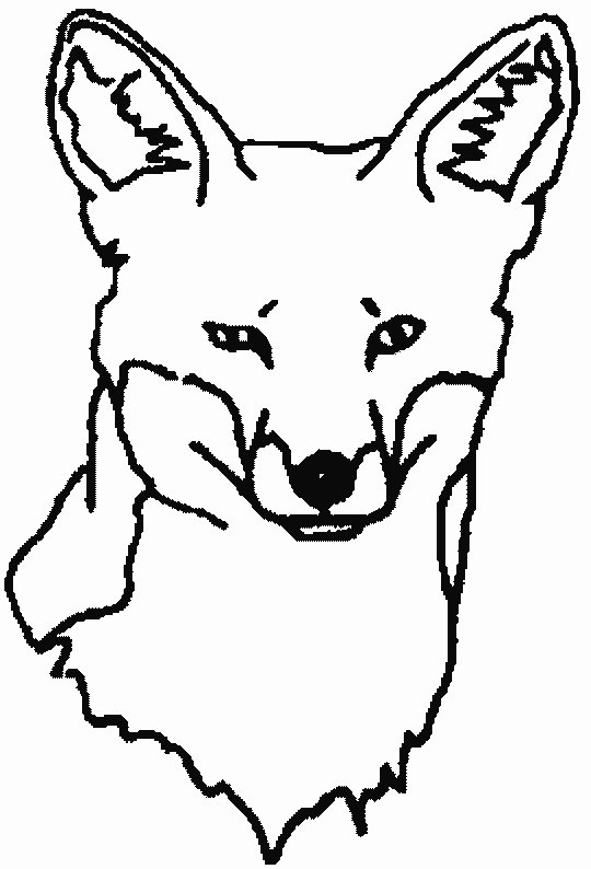 540x794 Fox Coloring Pages