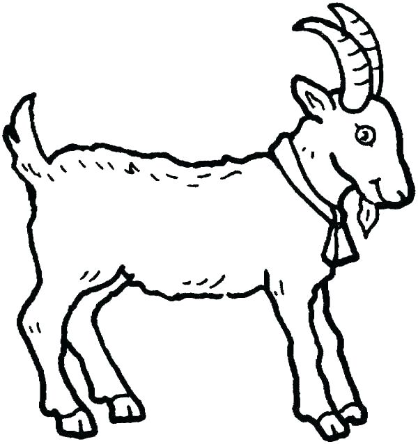 600x638 Animal Faces Coloring Pages S Got Animal Face Mask Colouring Pages