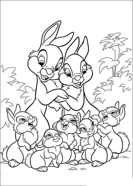 Animal Family Coloring Pages