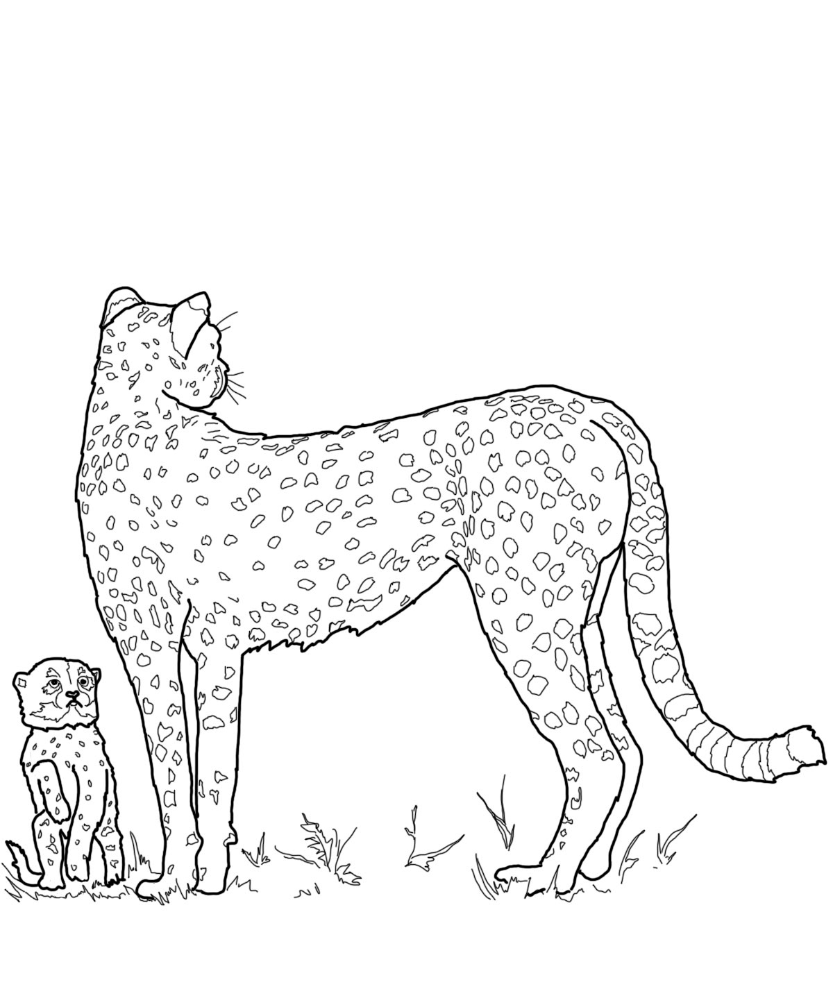 1200x1448 Animal Families Coloring Pages