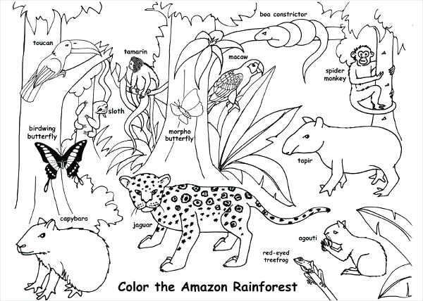 Animal Habitat Coloring Pages