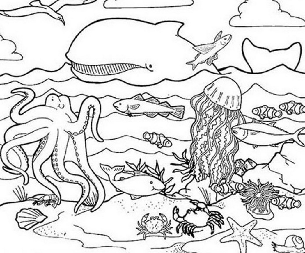 1048x870 Animal Habitat Coloring Pages