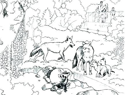 440x330 Animal Habitat Coloring Pages