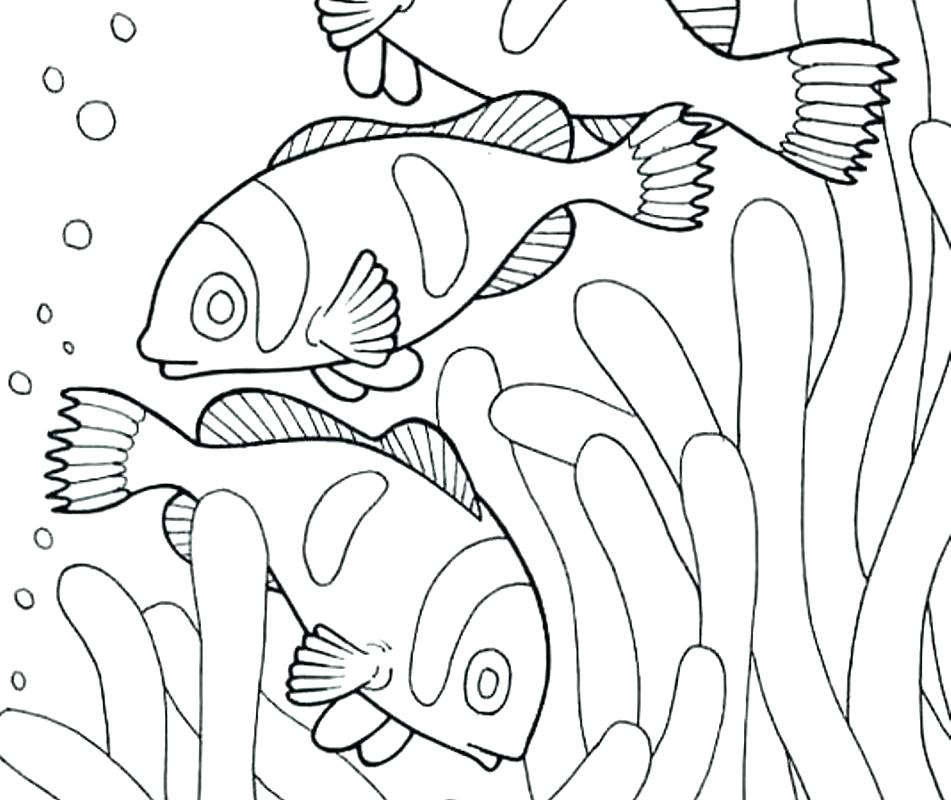 951x800 Animal Habitat Coloring Pages Animal Habitats Coloring Pages