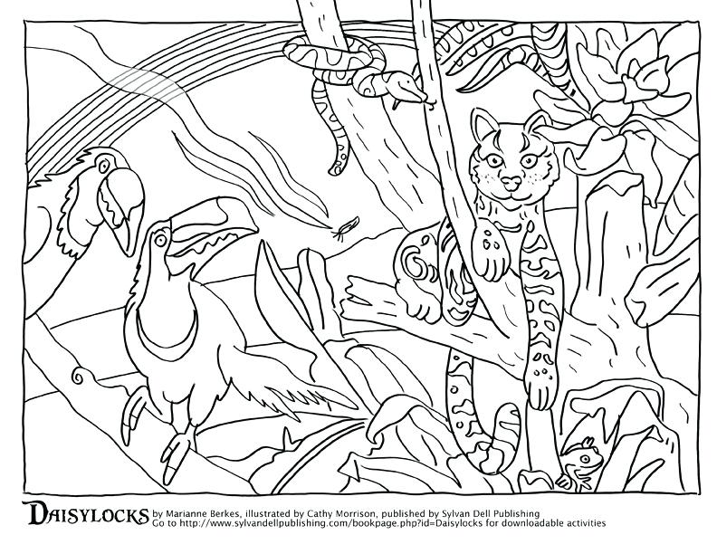 792x612 Animal Habitat Coloring Pages Coloring Free Animal Habitats
