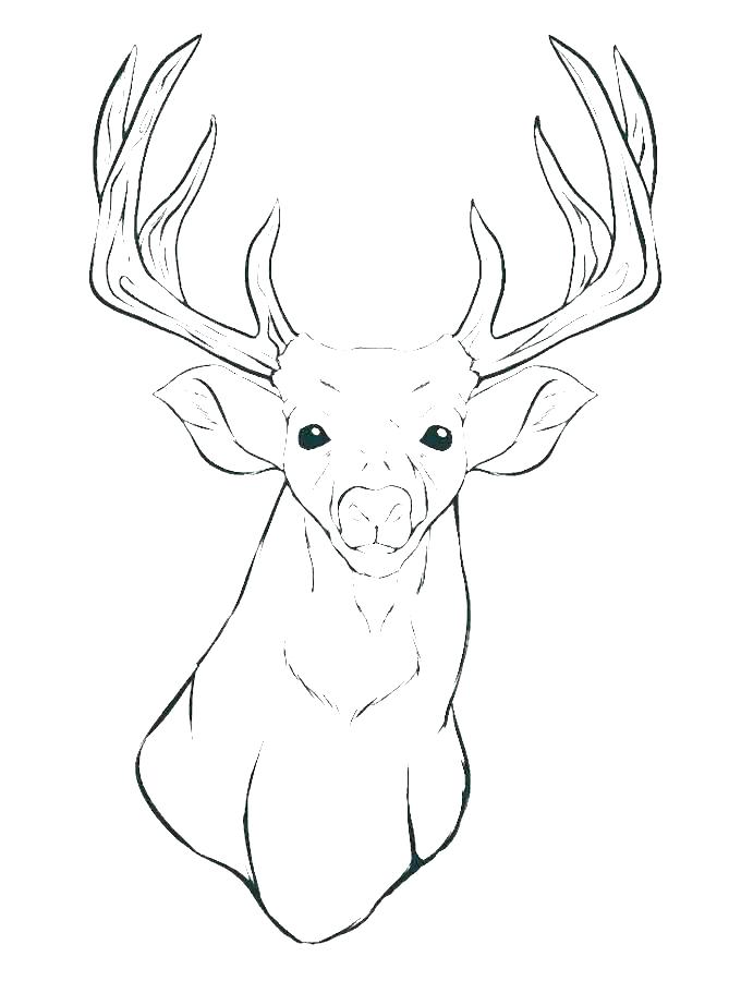 680x911 Coloring Pages For Kids Of Animals Funny Animal Coloring Pages