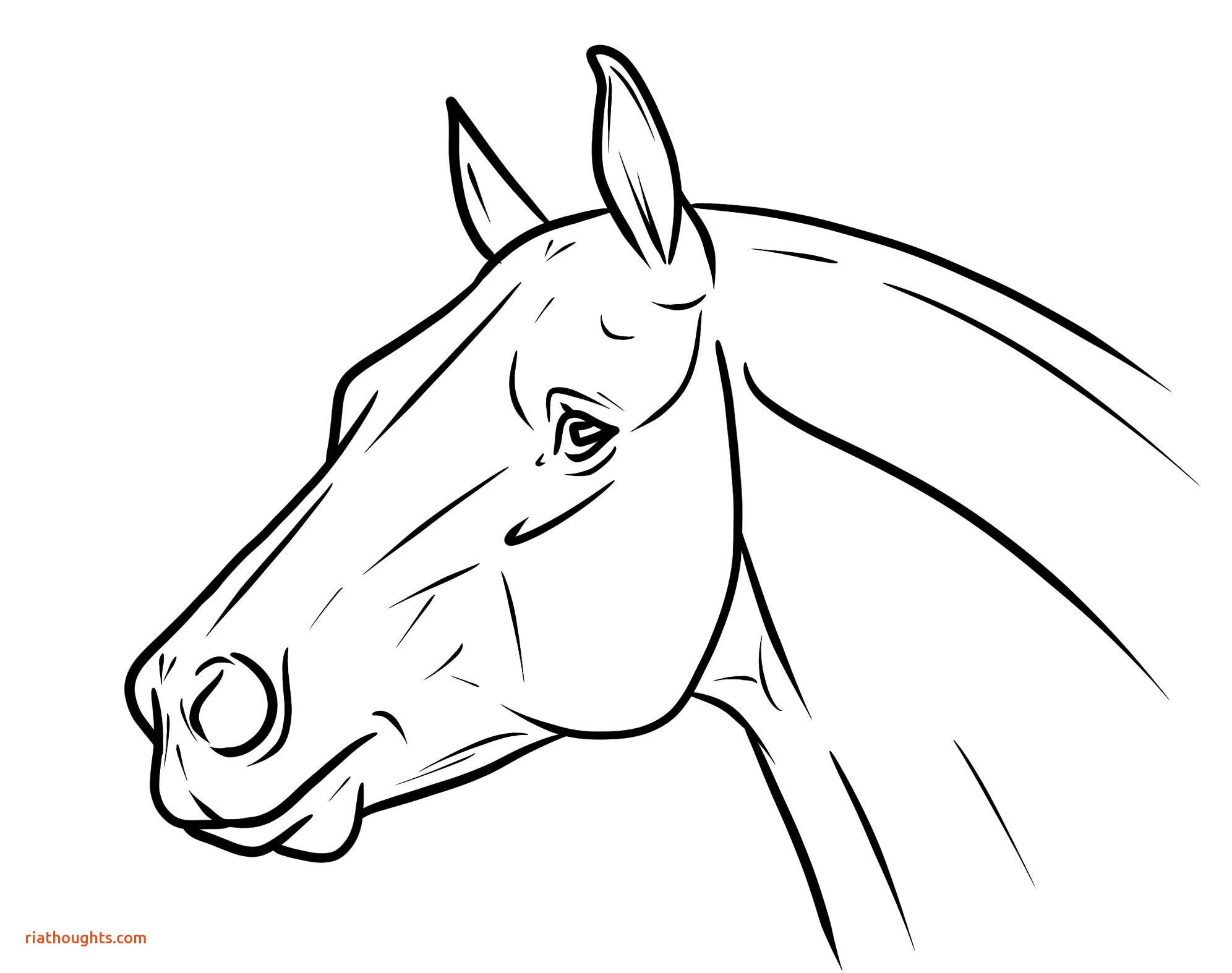 1992x1574 Unique Horse Head Coloring Pages Coloring