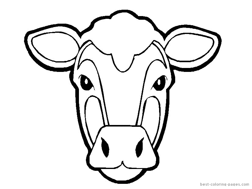 830x623 Animal Faces Coloring Pages