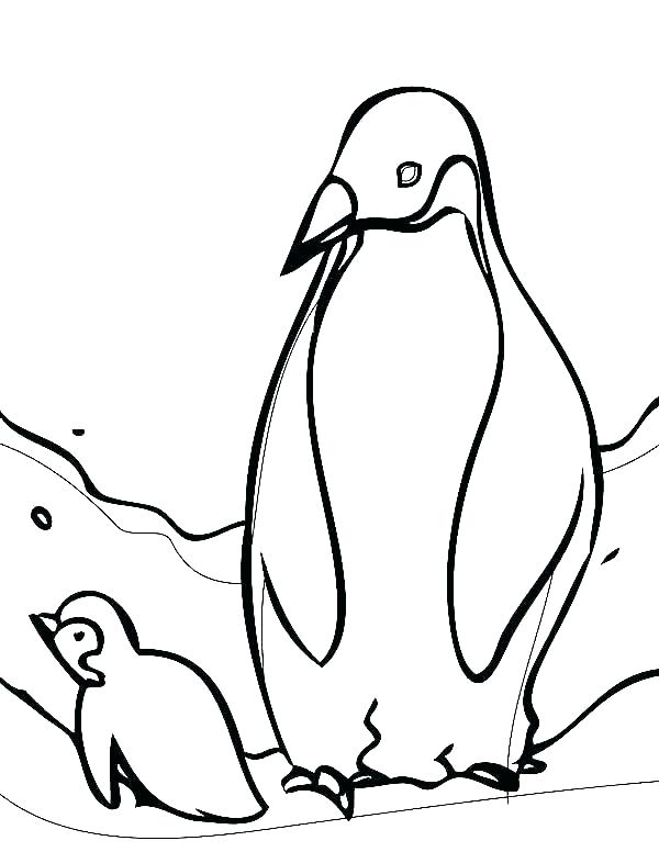600x776 Arctic Animal Coloring Pages Arctic Animals Coloring Pages Arctic