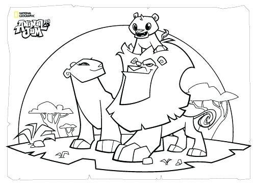 500x386 Arctic Wolf Coloring Pages