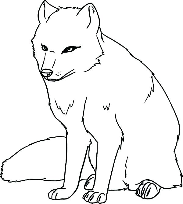 600x667 Arctic Animal Coloring Pages Polar Animal Coloring Pages