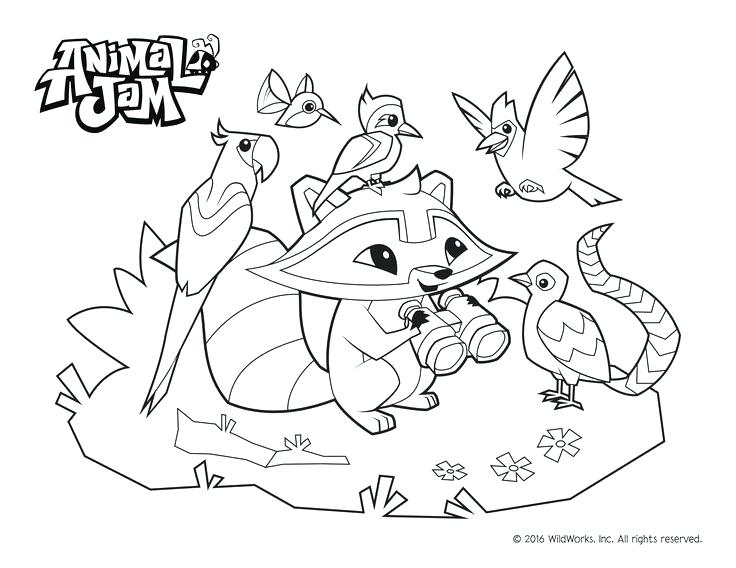 736x568 Animal Jam Coloring Pages Pets