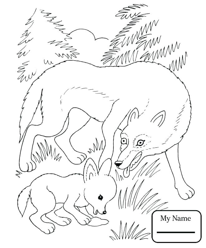 661x794 Free Wolf Coloring Pages Peter And The Wolf Coloring Pages Plus