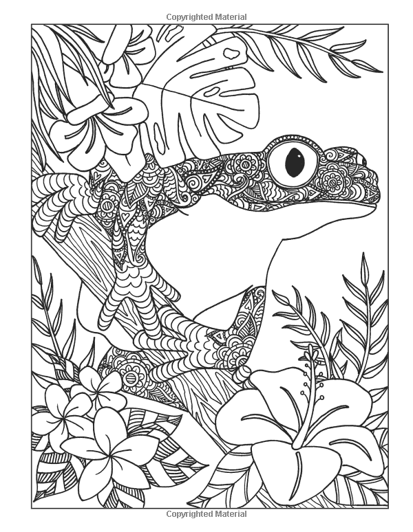 600x774 Inkspirations Animal Kingdom Captivating Coloring Designs