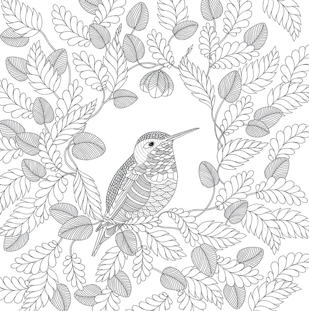 993x1000 Millie Marotta's Animal Kingdom, A Colouring Book Adventure