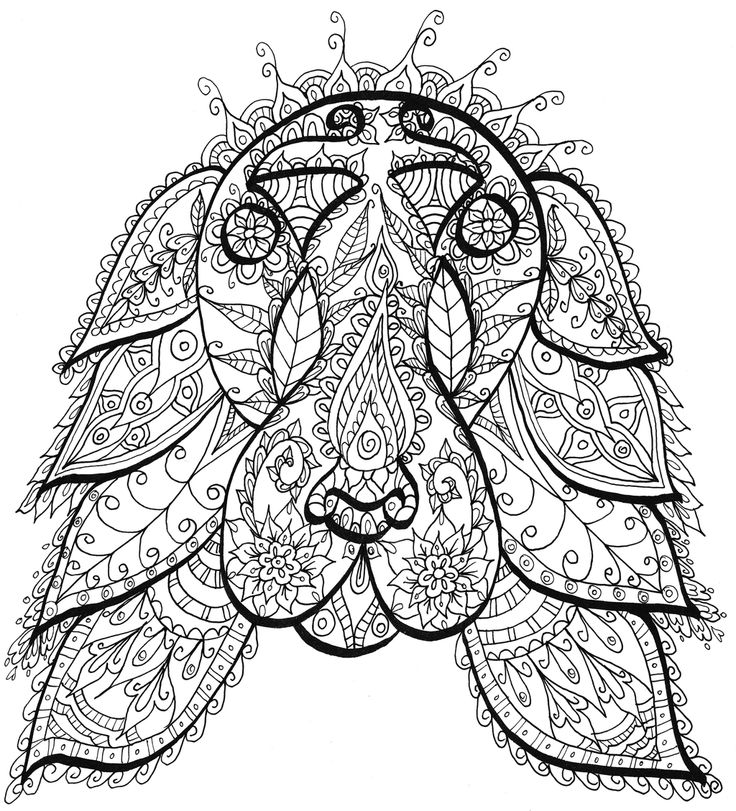 736x811 Pin By Jennifer Clark On Drawing Mandalas