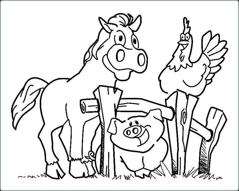 800x642 Animal Coloring Pages For Preschoolers Zoo Coloring Pages To Print