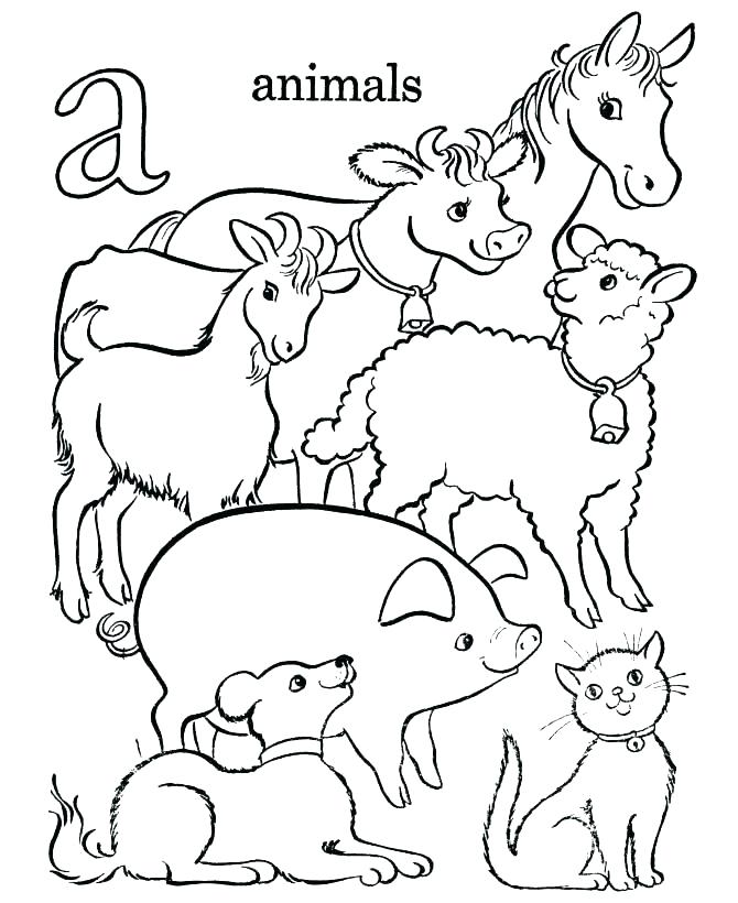 670x820 Animal Drawing At Free For Personal Use Animal Animal Coloring