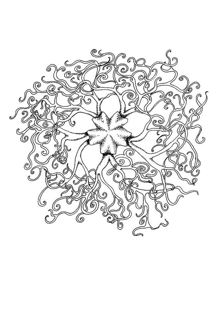 Animal Mandala Coloring Pages