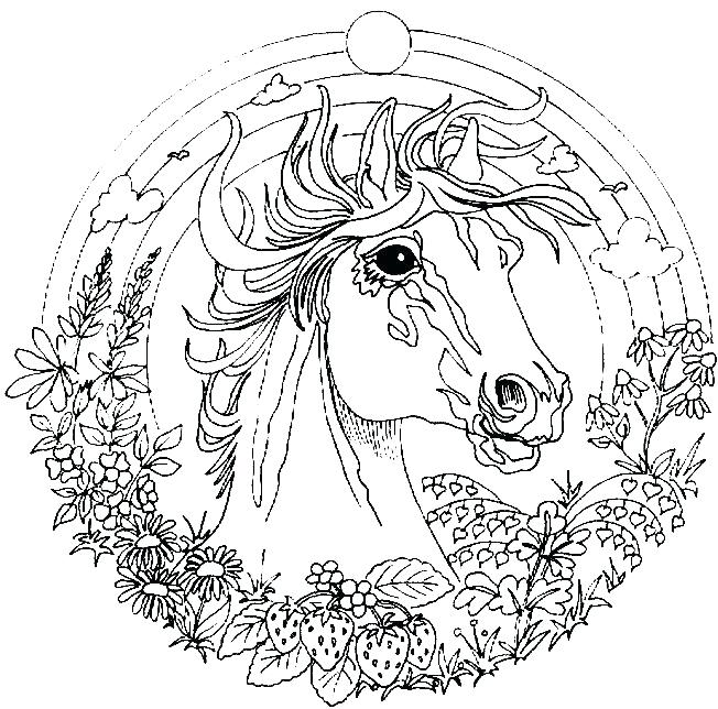 652x644 Animal Mandala Coloring Pages Bourseauxkamascom Best 25 Mandala