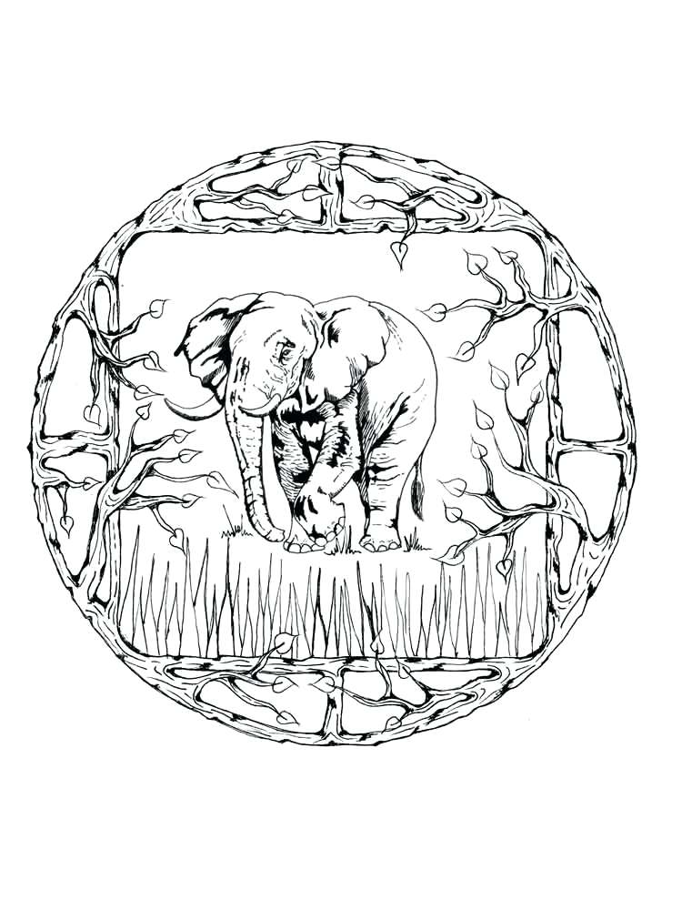 750x1000 Mandela Coloring Pages Adult Animal Mandala Coloring Pages 1