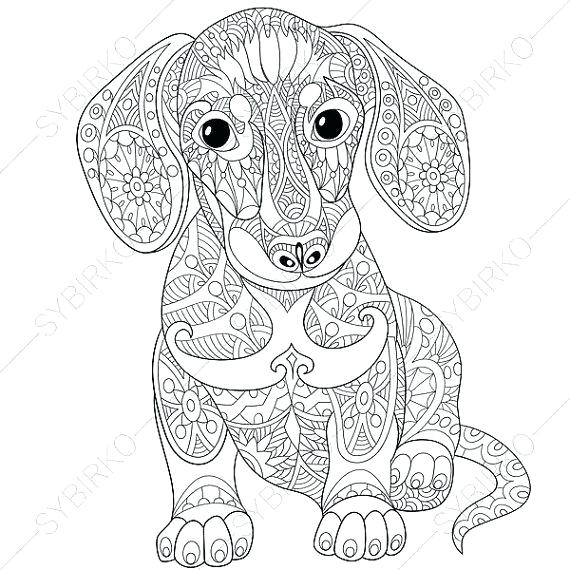 570x570 Animal Coloring Pages For Adults Detailed Animal Coloring Pages