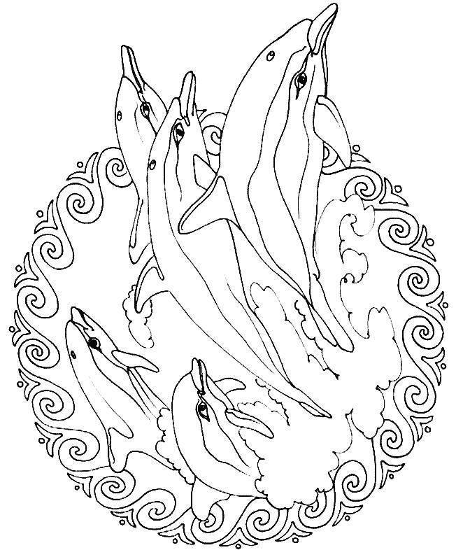 Animal Mandala Coloring Pages Free Printable